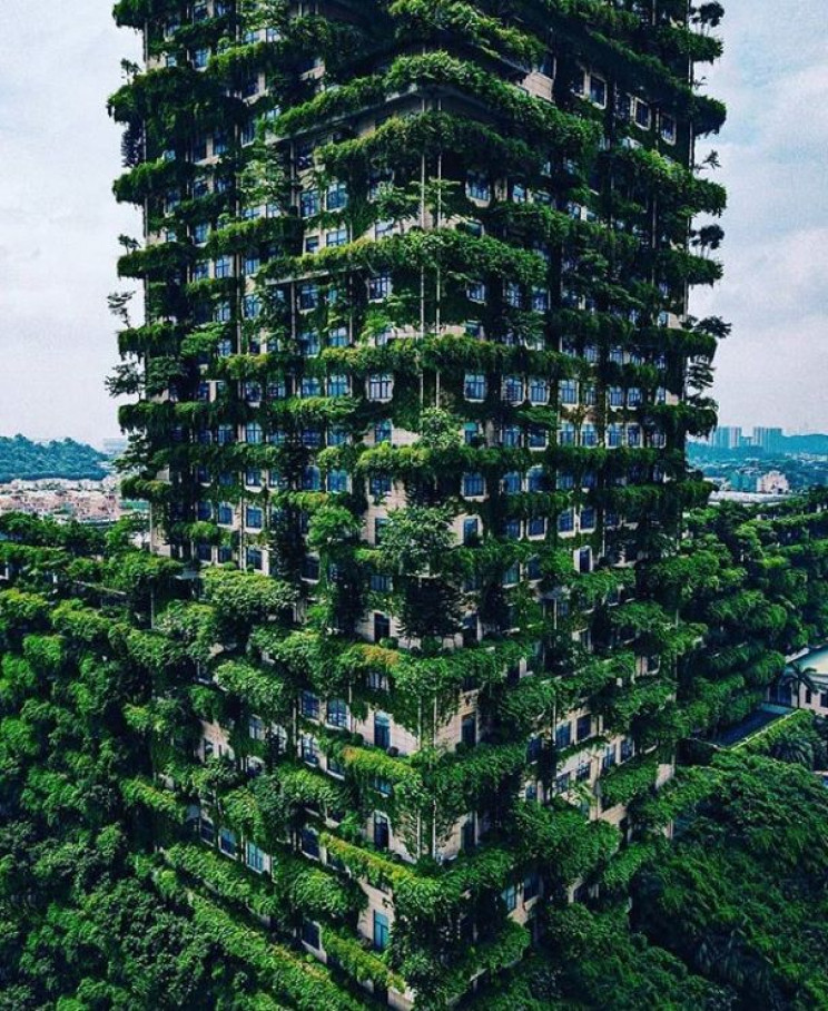 vertical-forests-1_resize_md