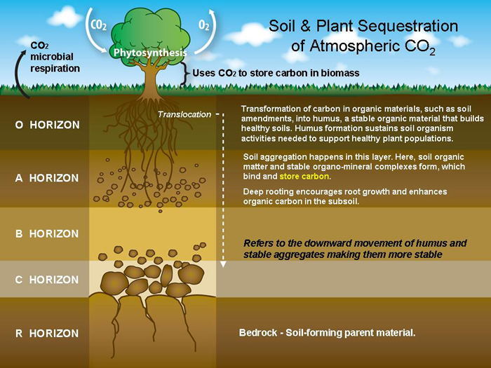 soil_cross_section